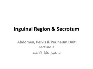 Inguinal Region &amp; Secrotum