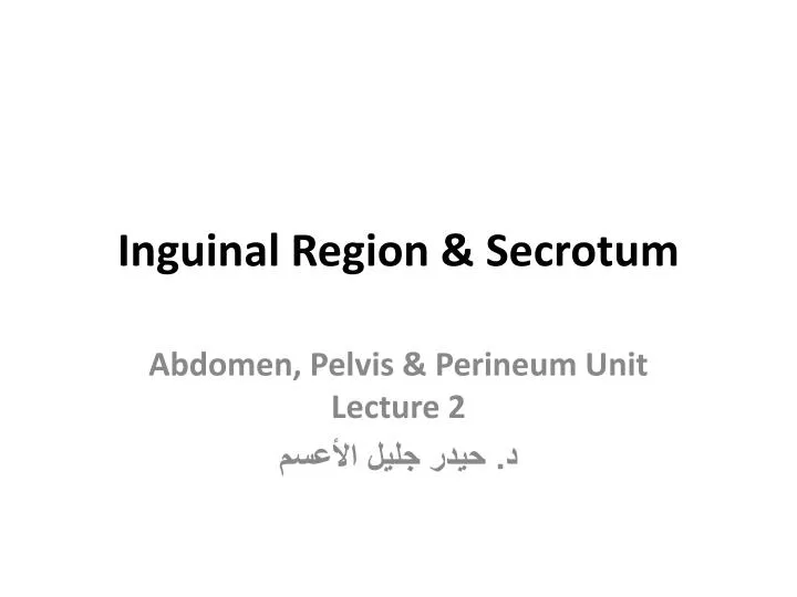 inguinal region secrotum
