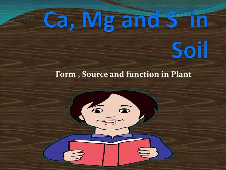 ca mg and s in soil
