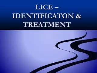 LICE – IDENTIFICATON &amp; TREATMENT