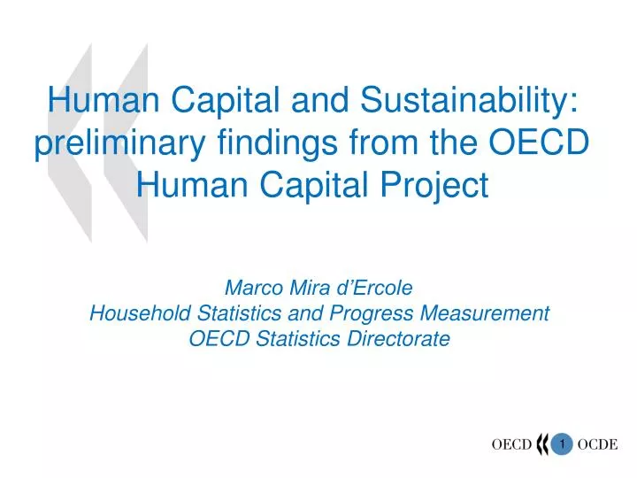 human capital and sustainability preliminary findings from the oecd human capital project