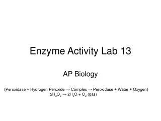 Enzyme Activity Lab 13