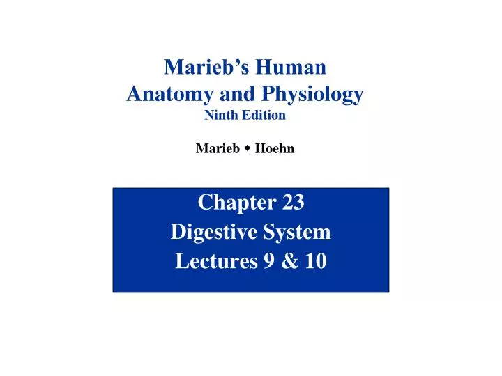 chapter 23 digestive system lectures 9 10
