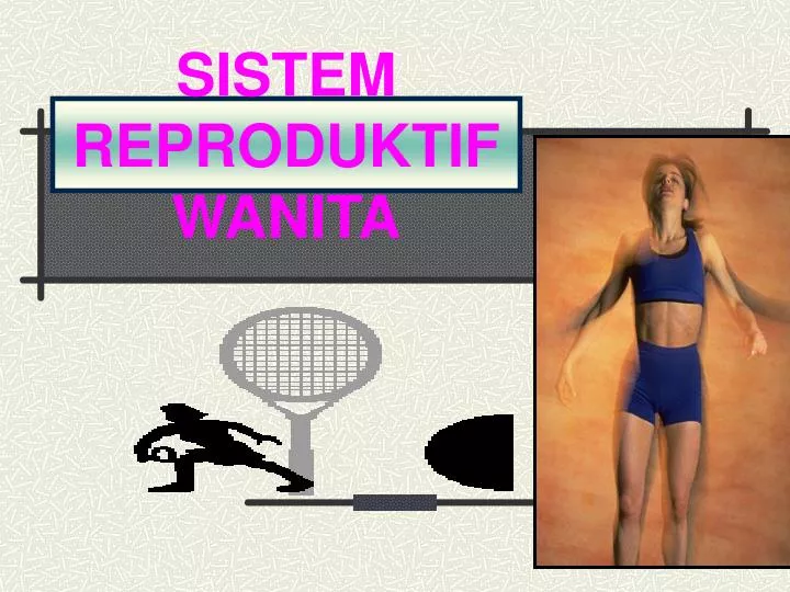 sistem reproduktif wanita