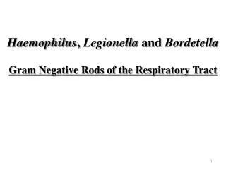 Haemophilus , Legionella and Bordetella Gram Negative Rods of the Respiratory Tract