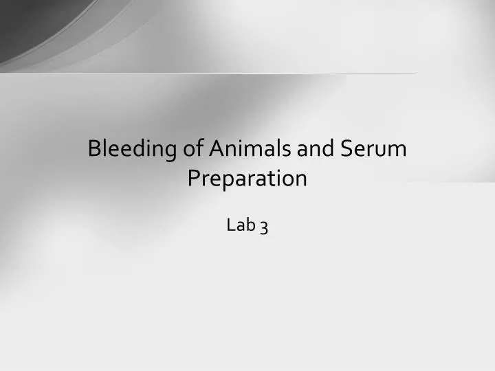 bleeding of animals and serum preparation