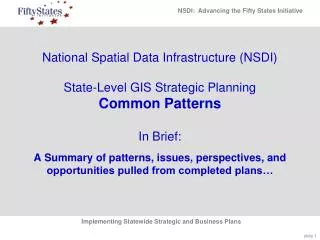 National Spatial Data Infrastructure (NSDI) State-Level GIS Strategic Planning Common Patterns In Brief: