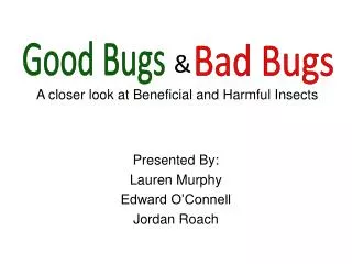 A closer look at Beneficial and Harmful Insects
