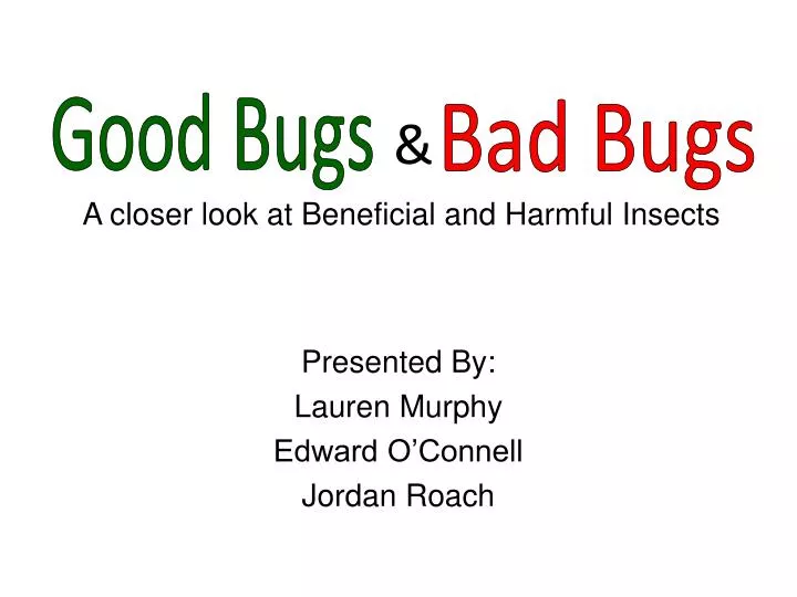 a closer look at beneficial and harmful insects