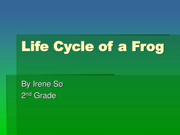 life cycle of a frog