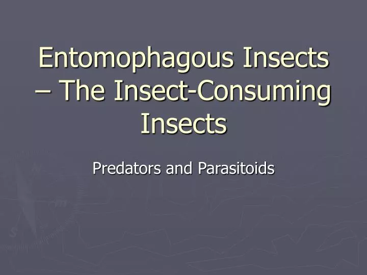entomophagous insects the insect consuming insects
