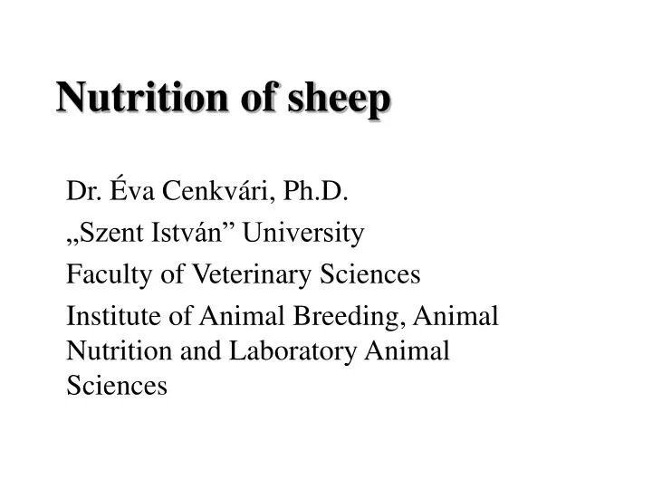 nutrition of sheep
