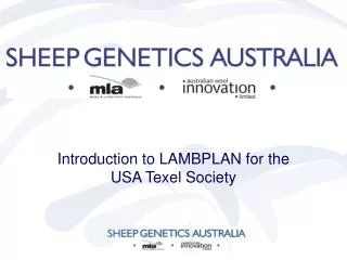 Introduction to LAMBPLAN for the USA Texel Society