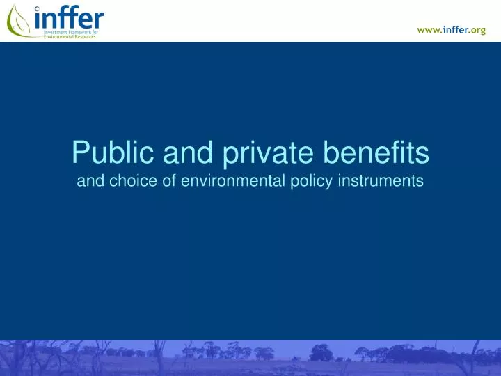 public and private benefits and choice of environmental policy instruments