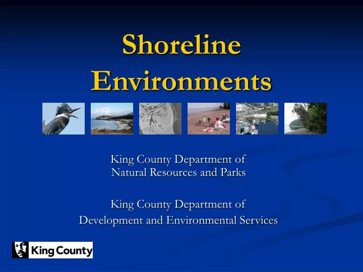 shoreline environments