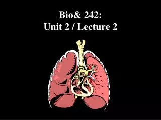 Bio&amp; 242: Unit 2 / Lecture 2