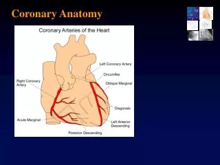 Coronary Anatomy