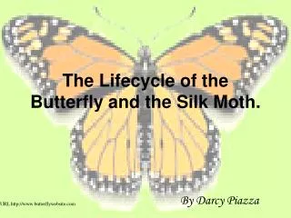 The Lifecycle of the Butterfly and the Silk Moth.