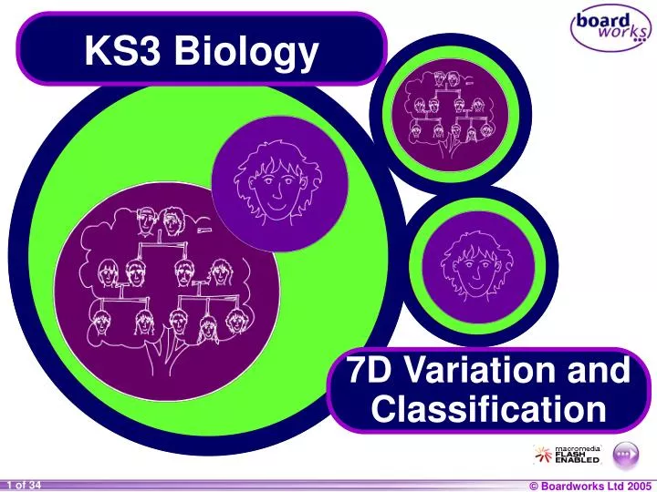 ks3 biology