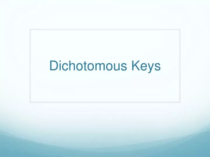 dichotomous keys