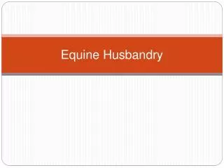 Equine Husbandry