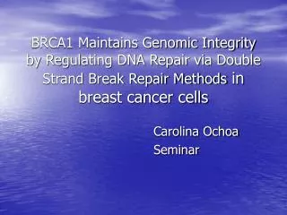 BRCA1 Maintains Genomic Integrity by Regulating DNA Repair via Double Strand Break Repair Methods in breast cancer cell