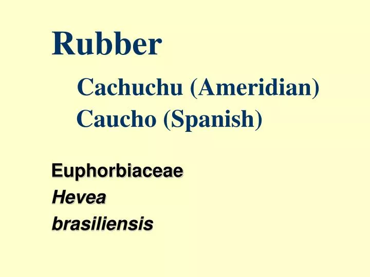 rubber cachuchu ameridian caucho spanish