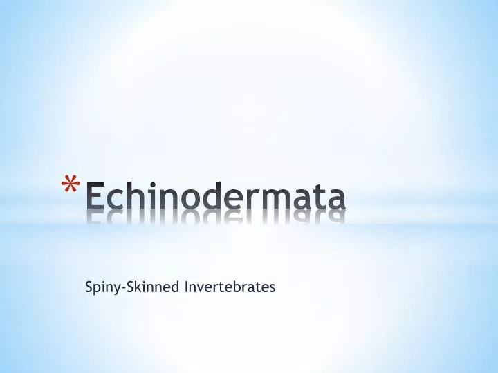 echinodermata