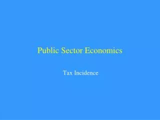 Public Sector Economics