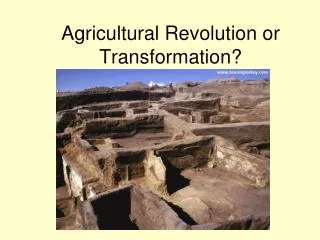 Agricultural Revolution or Transformation?