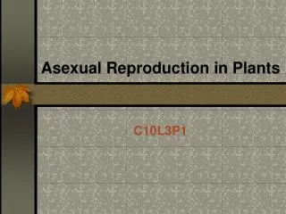 Asexual Reproduction in Plants