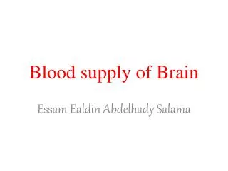 Blood supply of Brain