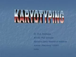 KARYOTYPING