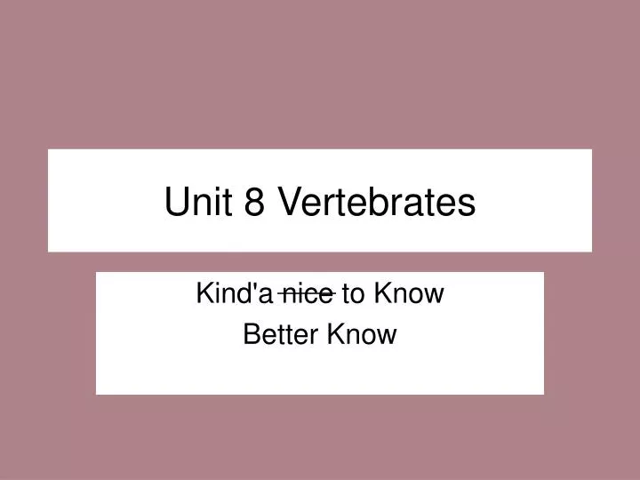 unit 8 vertebrates
