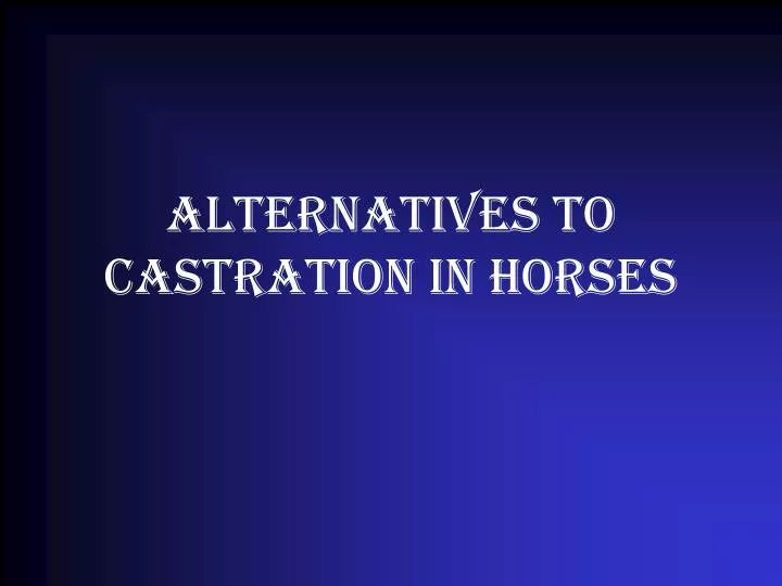 alternatives to castration in horses