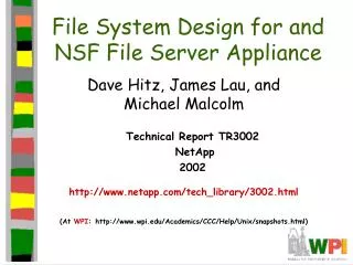File System Design for and NSF File Server Appliance