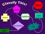 Animal Classification - slide 1