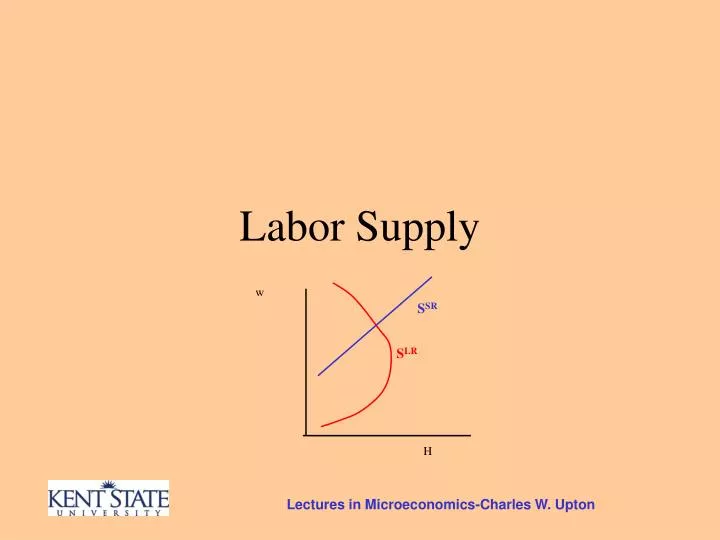 labor supply