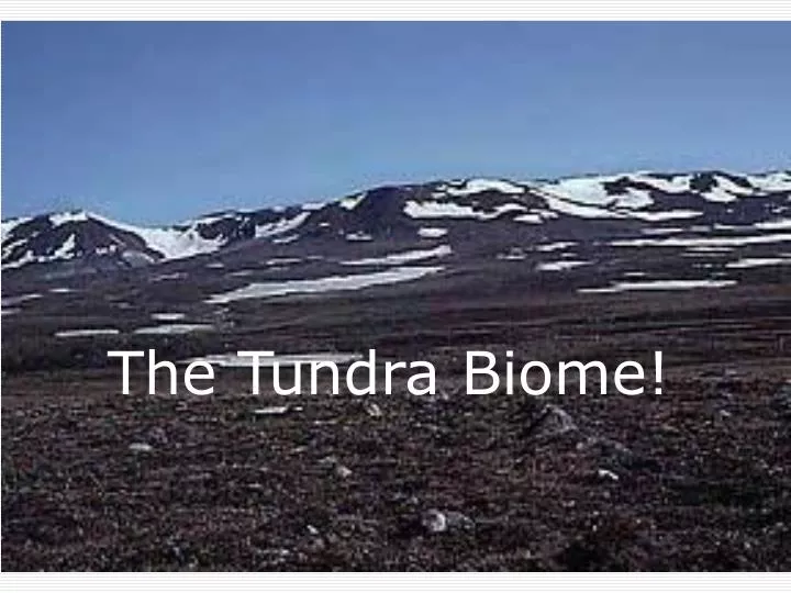 the tundra biome