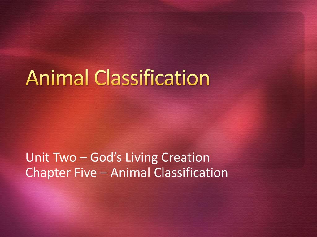 PPT - Animal Classification PowerPoint Presentation, free download - ID ...
