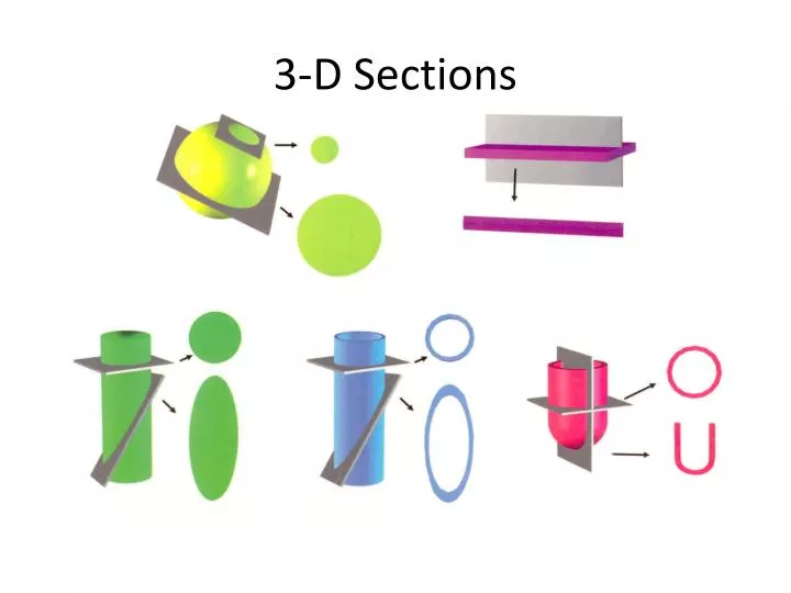 3 d sections