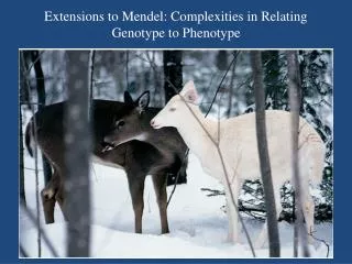 Extensions to Mendel: Complexities in Relating Genotype to Phenotype