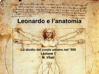 leonardo e l anatomia
