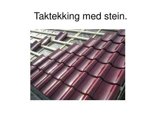 taktekking med stein