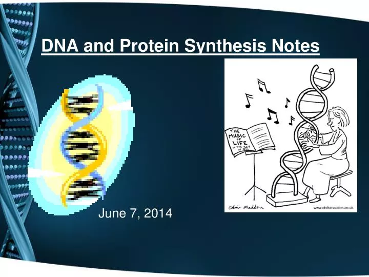 dna and protein synthesis notes