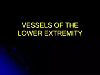 VESSELS OF THE LOWER EXTREMITY