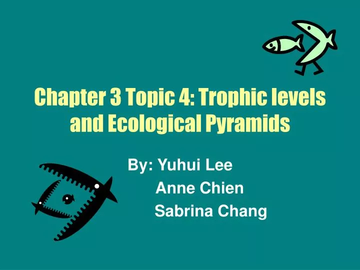 chapter 3 topic 4 trophic levels and ecological pyramids