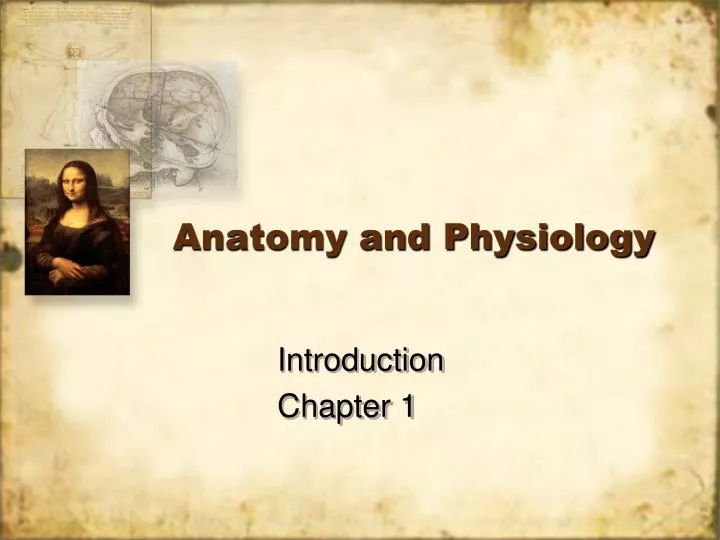 anatomy and physiology