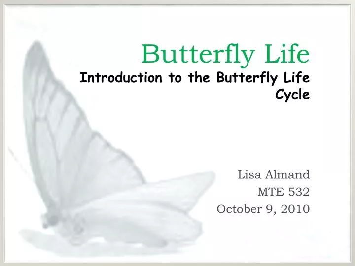butterfly life introduction to the butterfly life cycle