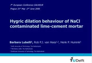 Hygric dilation behaviour of NaCl contaminated lime-cement mortar